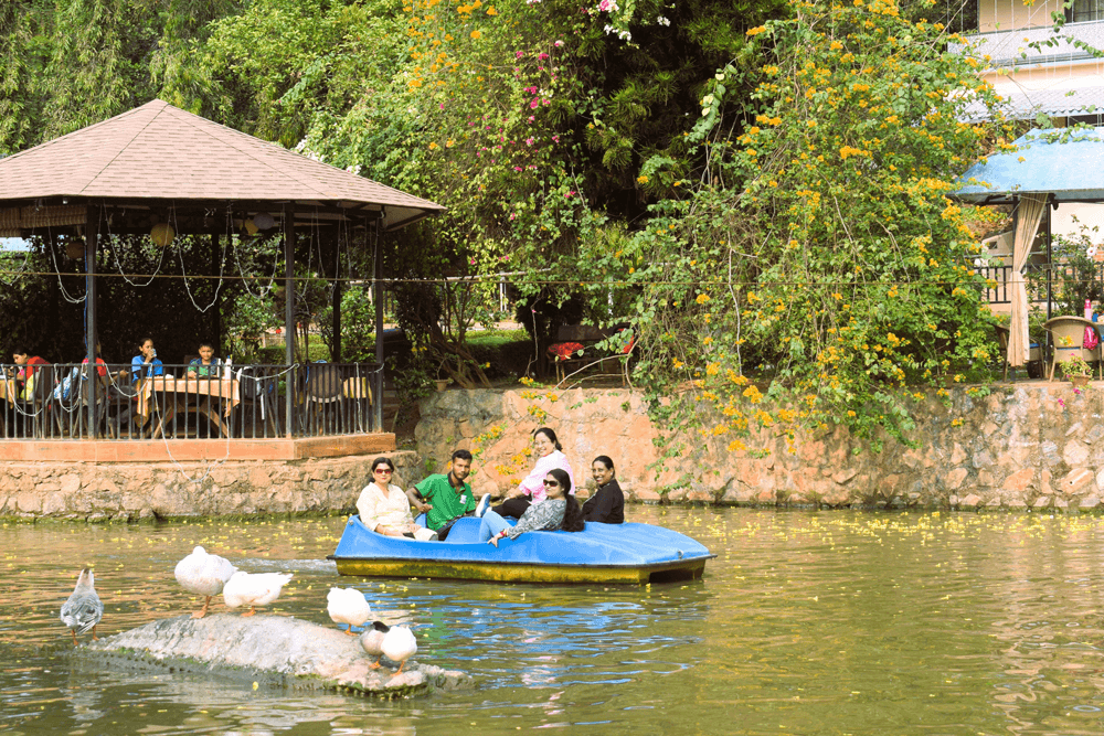 Paddle boats moored by the gazebo