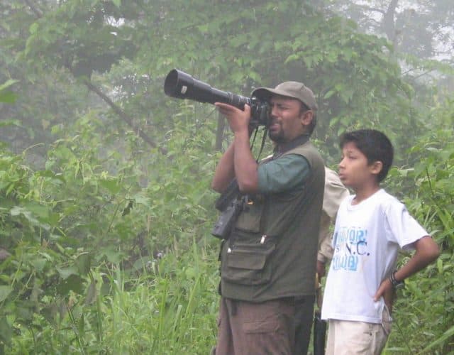 Bird watching