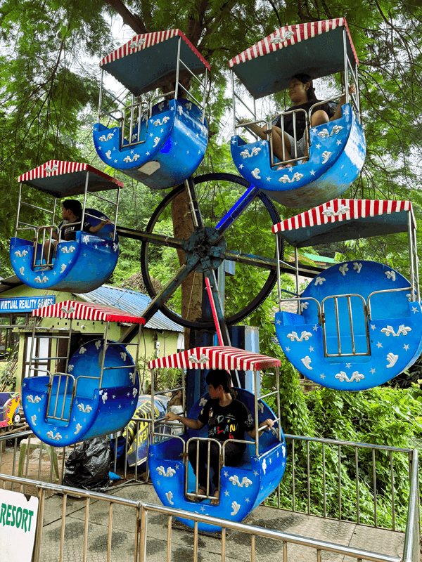 Mini Ferris Wheel