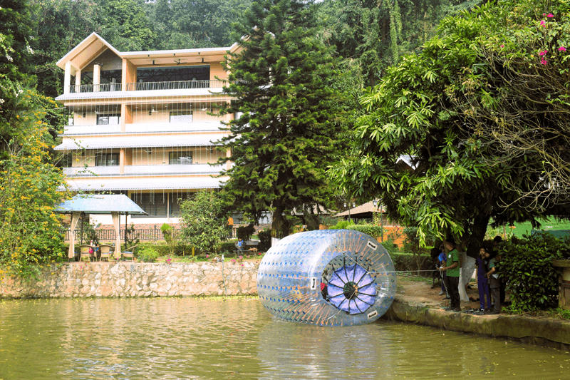 The water roller out on the pond
