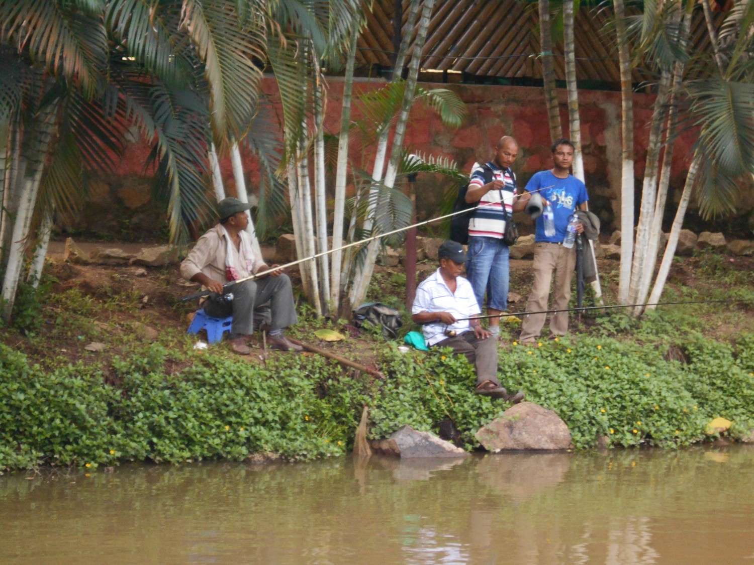 Angling by the bamboo grove at the water's edge
