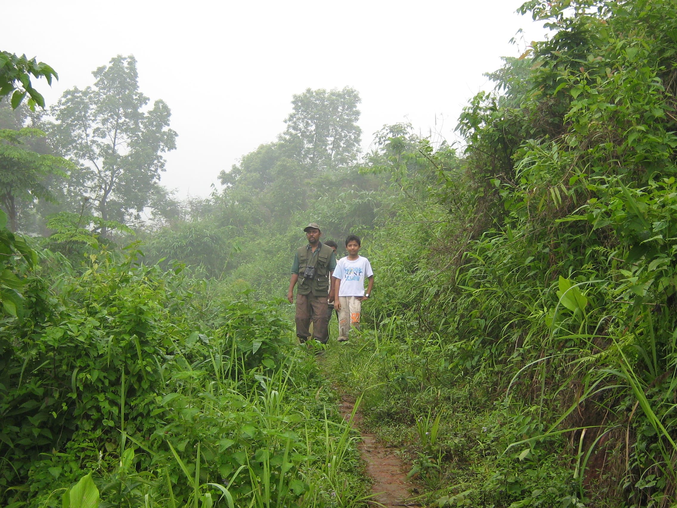 Trekking a misty trail through the sanctuary