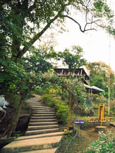 Garden steps winding through the grounds