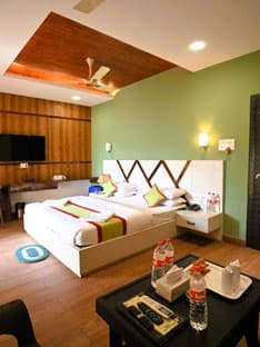 A garden-view room with a green feature wall